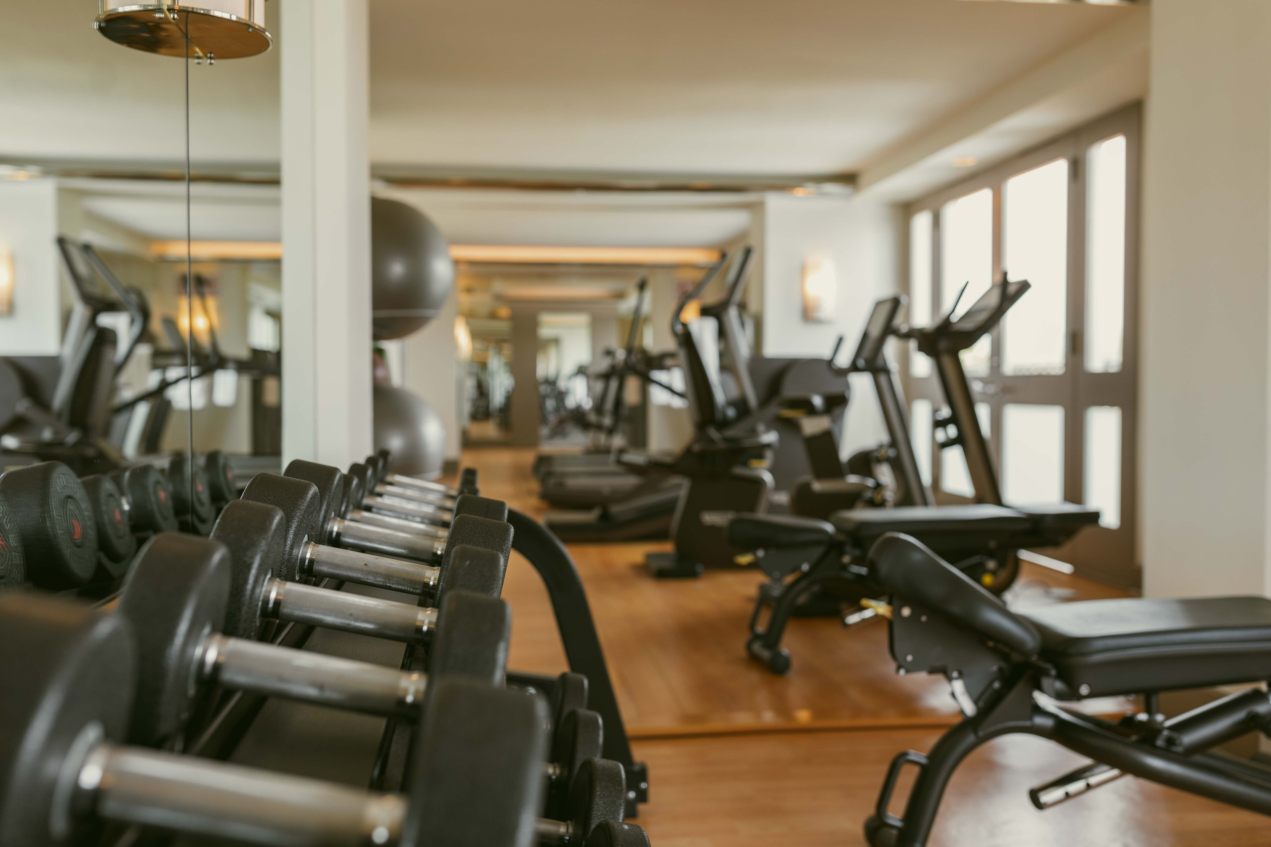 Dumbbell rack and cardio machines in bright gym
