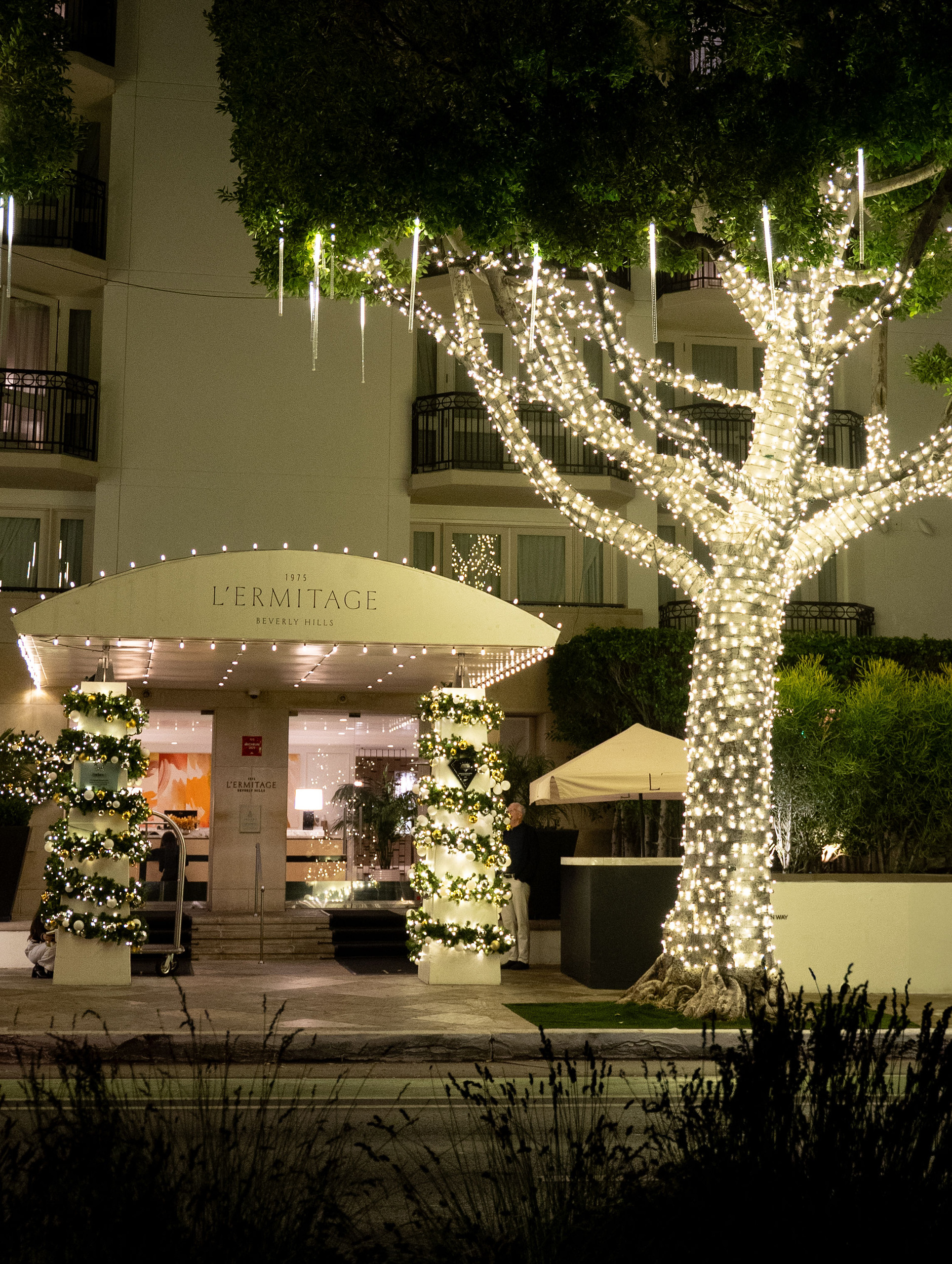 L’Ermitage entrance glowing with twinkle-lit trees at night