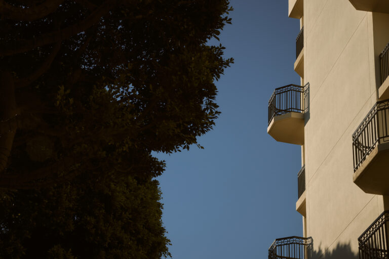 Minimal balcony edge beside silhouetted tree