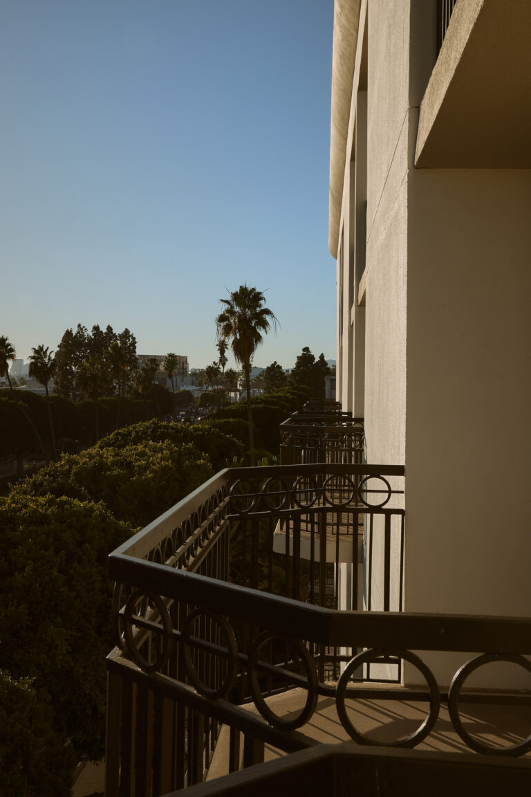 Sunlit balcony overlooking treetops and palm trees