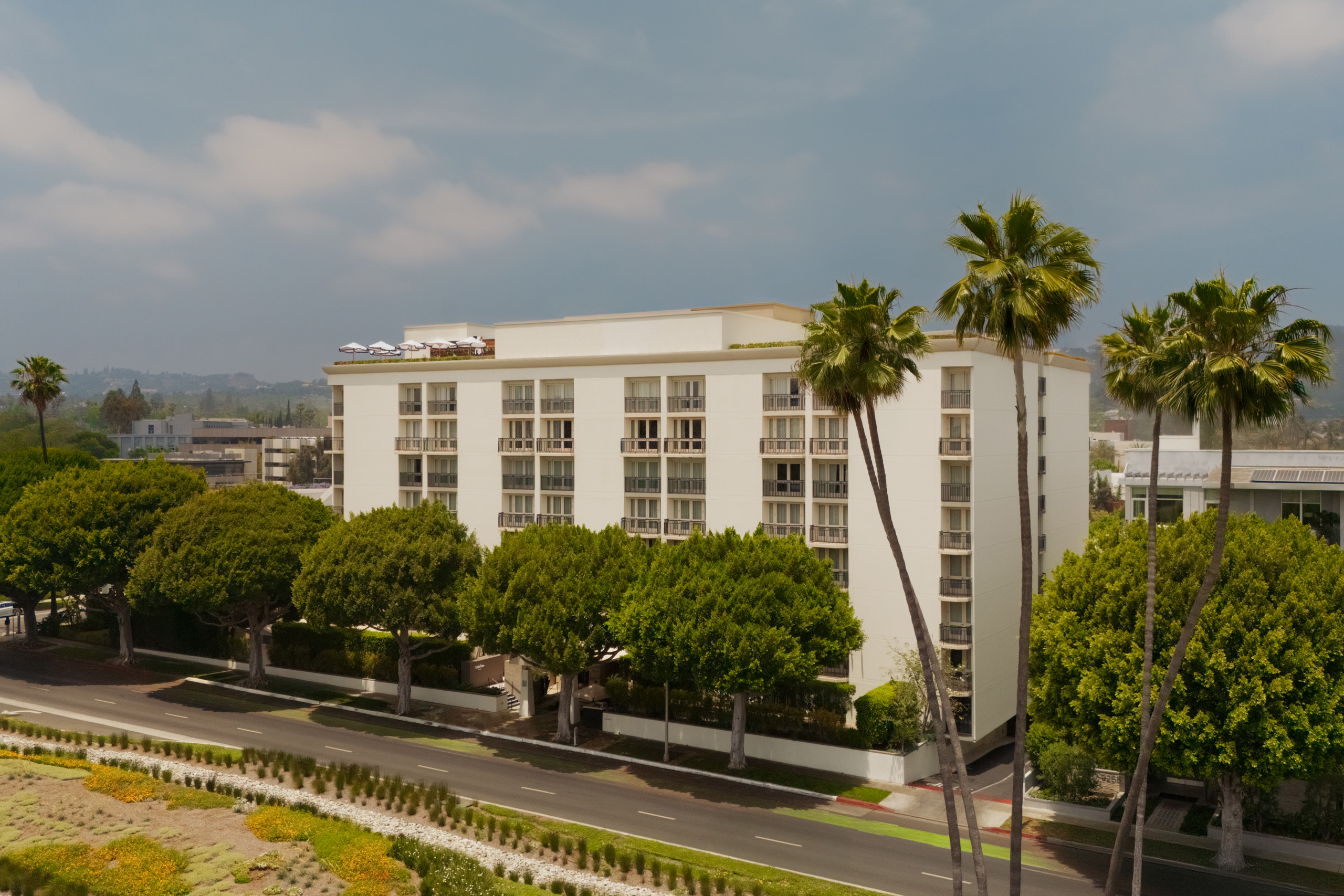 White hotel exterior with palms along street view.