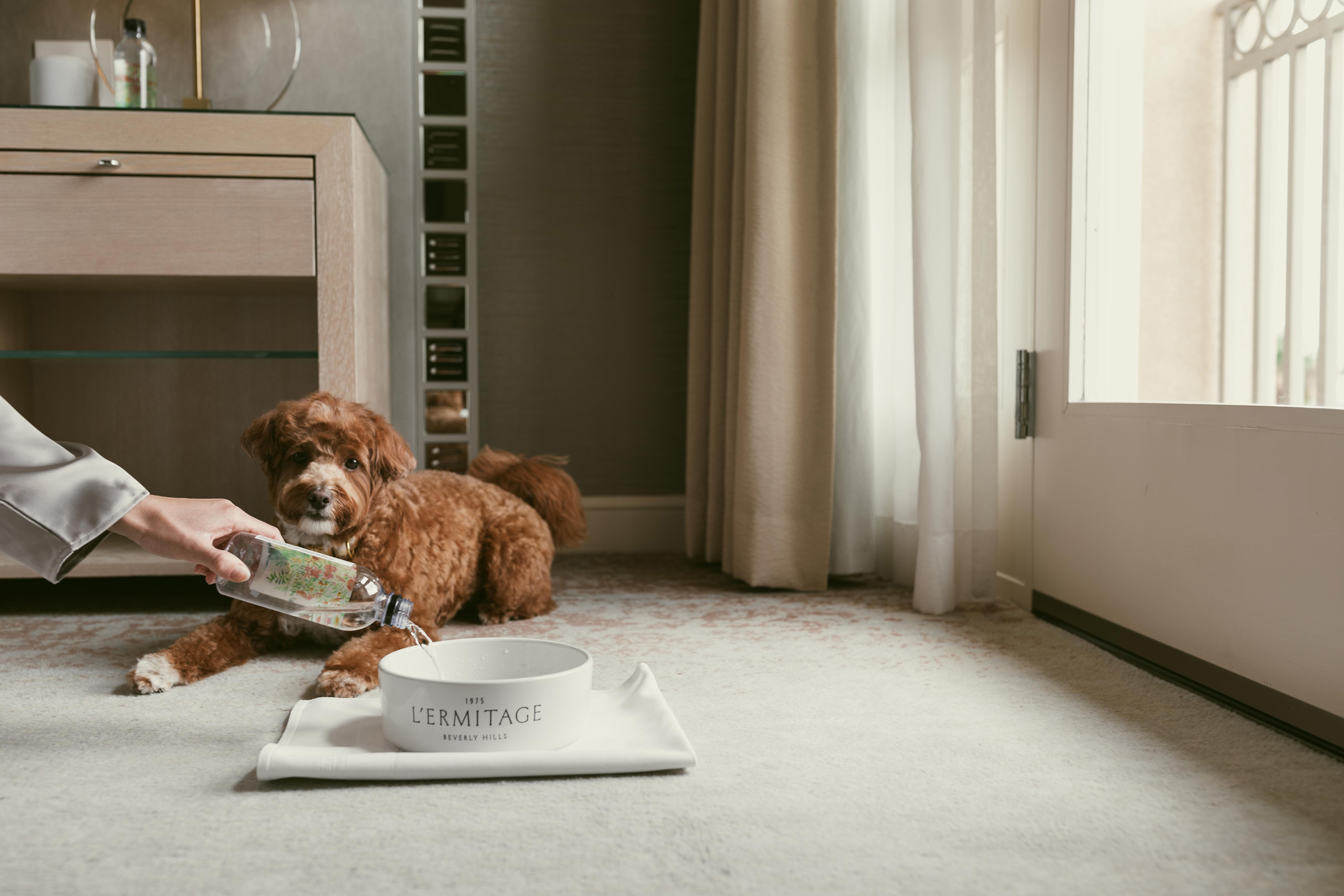 Person pours water into L&rsquo;Ermitage dog bowl beside puppy.
