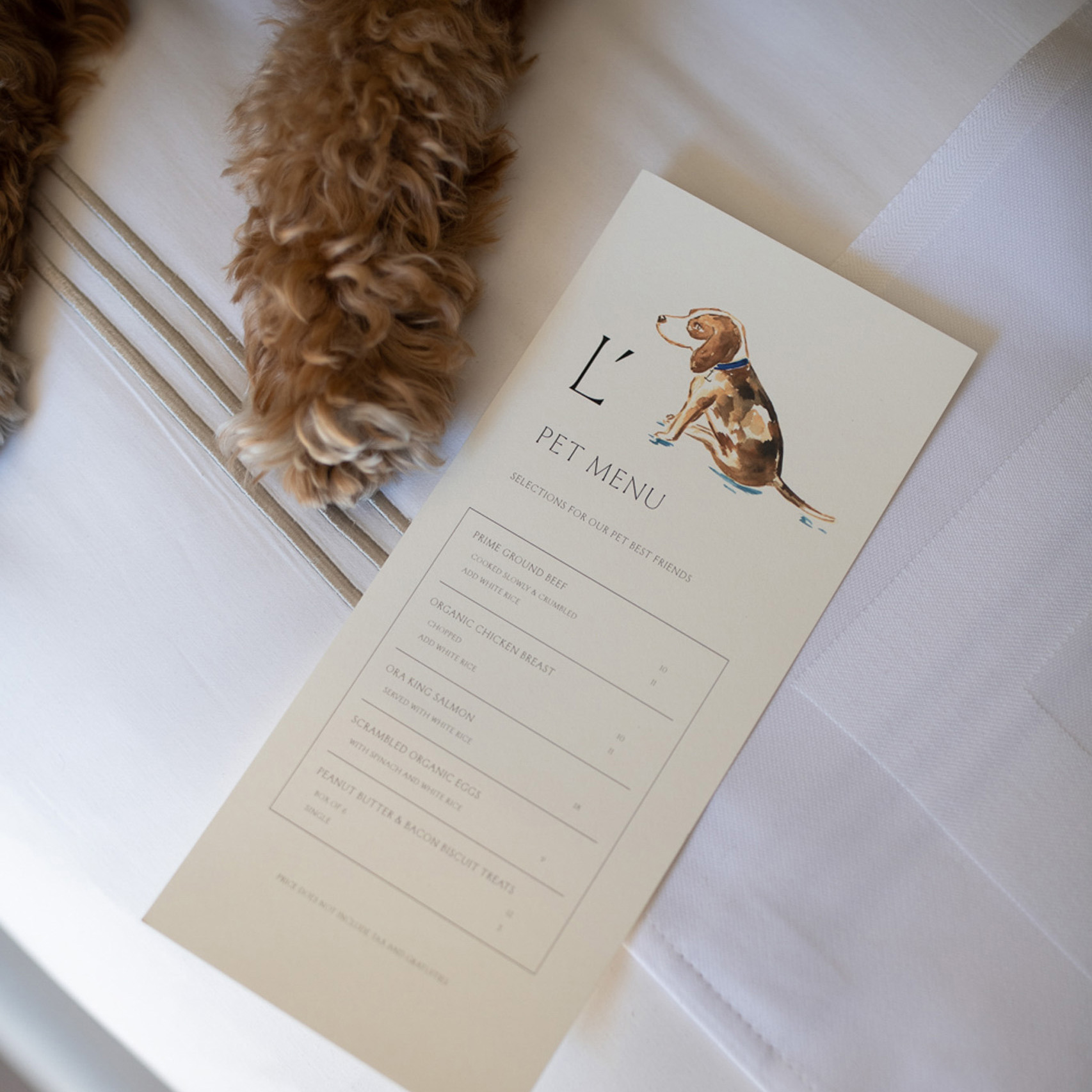 Pet menu card beside dog paws on bed.