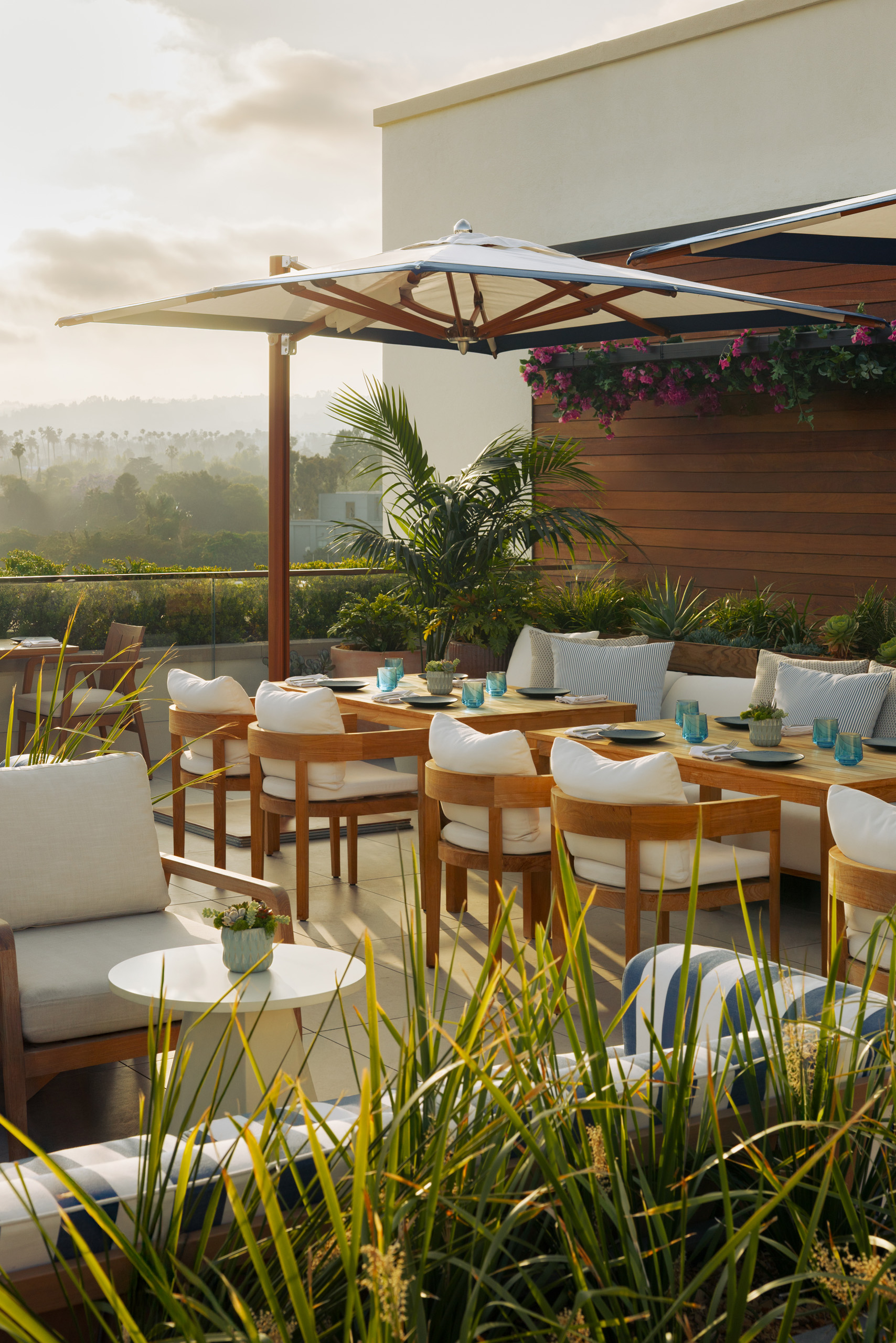 Outdoor dining terrace with greenery and golden-hour light.