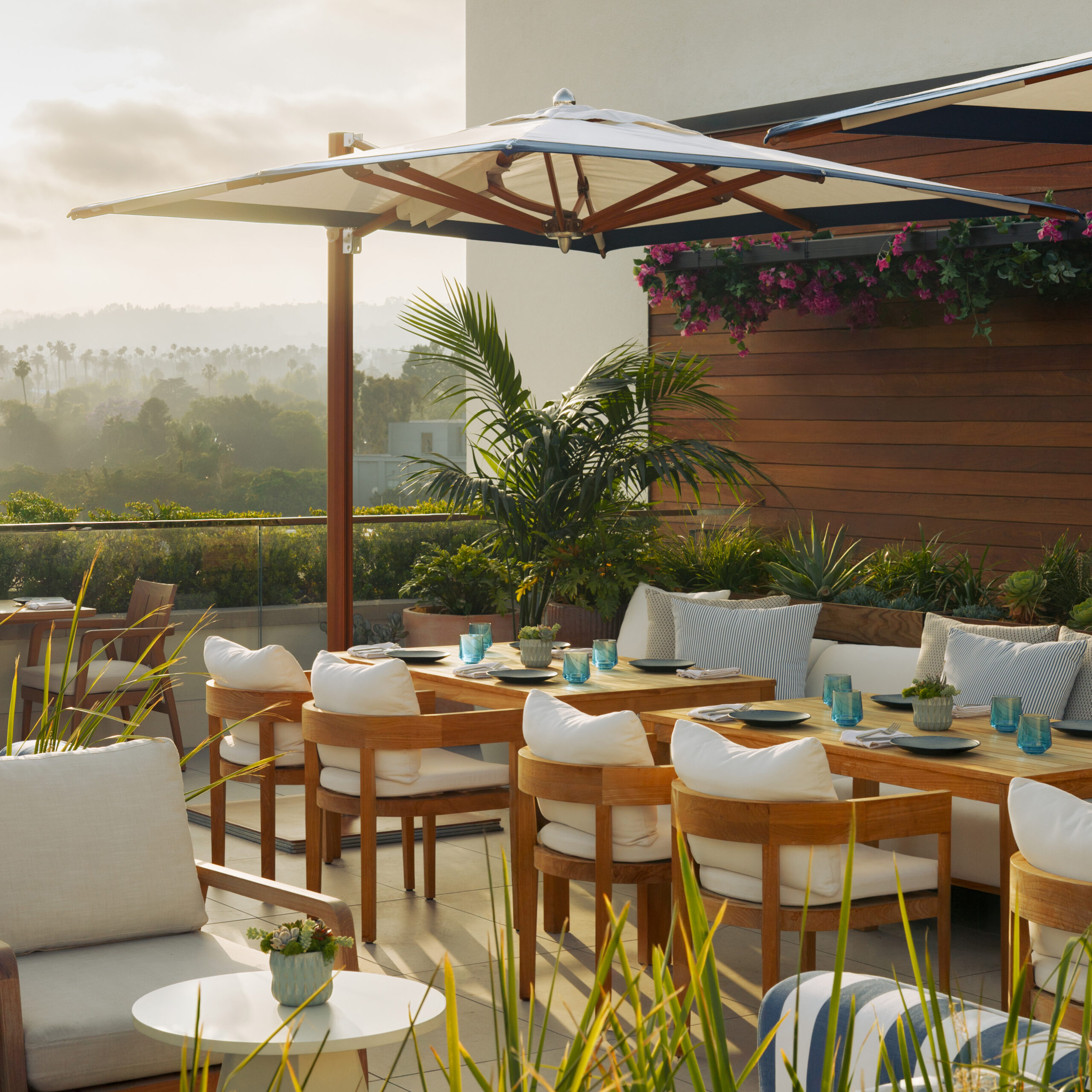 Outdoor dining terrace with greenery and golden-hour light.
