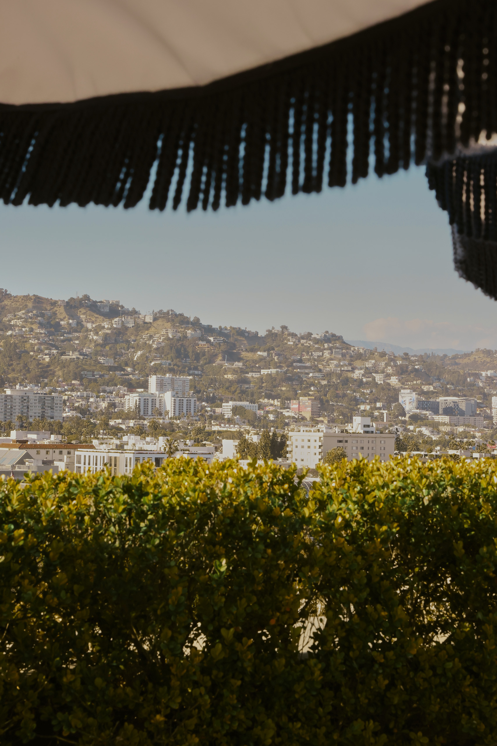 Rooftop view of the Hollywood Hills framed by a fringed umbrella and greenery in the foreground.